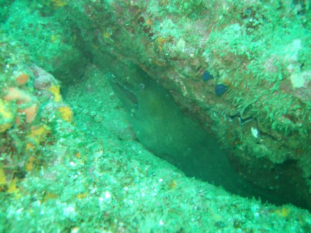 dscf0604.jpg