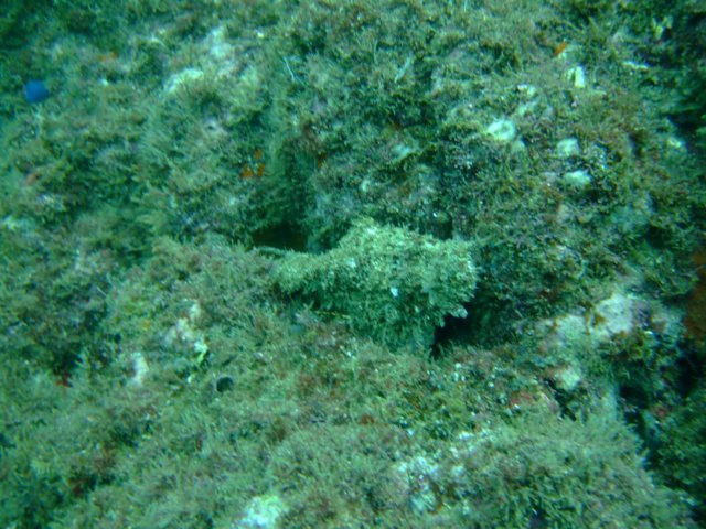 dscf0613.jpg