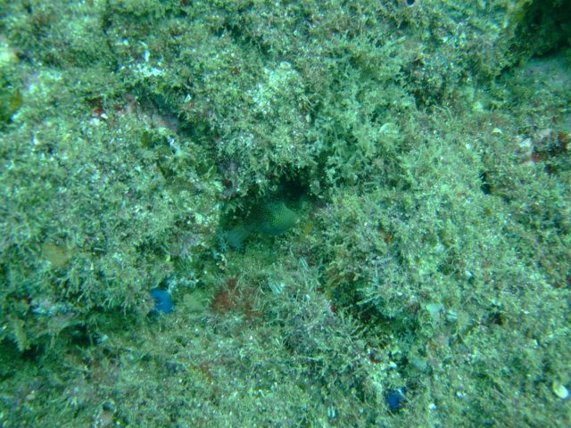 dscf0615.jpg