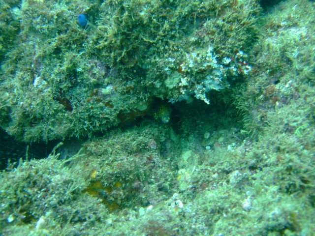 dscf0618.jpg