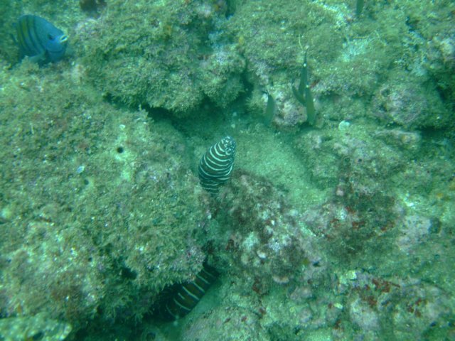 dscf0634.jpg