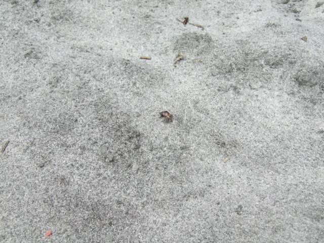 dscf0669.jpg