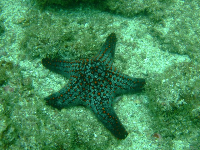 dscf0707.jpg