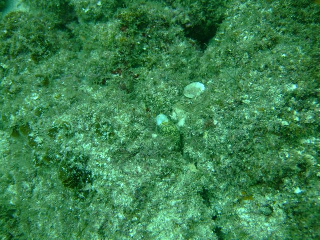 dscf0709.jpg