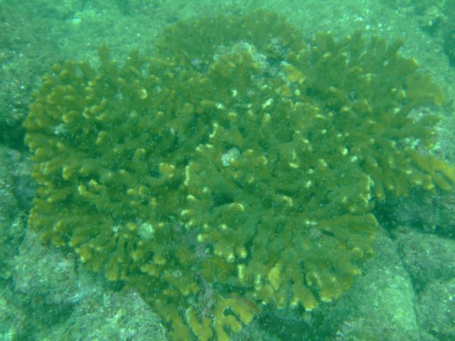 dscf0715.jpg