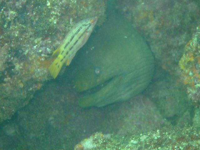 dscf0718.jpg