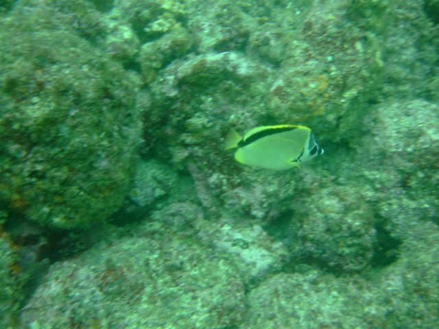 dscf0722.jpg