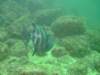 dscf0727_small.jpg