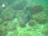 dscf0728_small.jpg