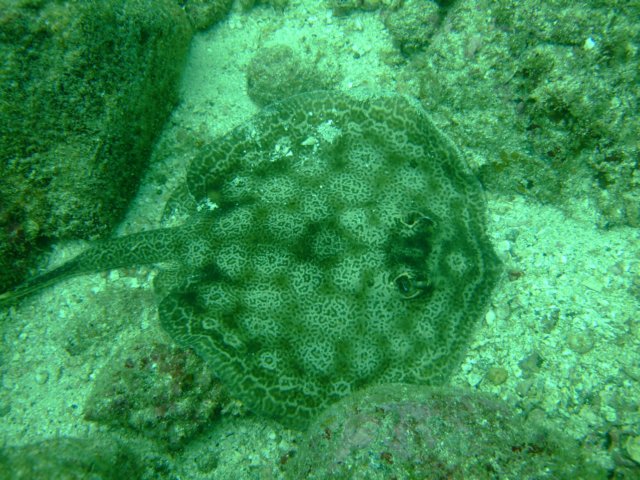 dscf0732.jpg
