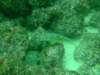 dscf0736_small.jpg