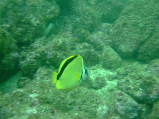 dscf0737.jpg