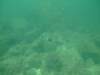dscf0742_small.jpg