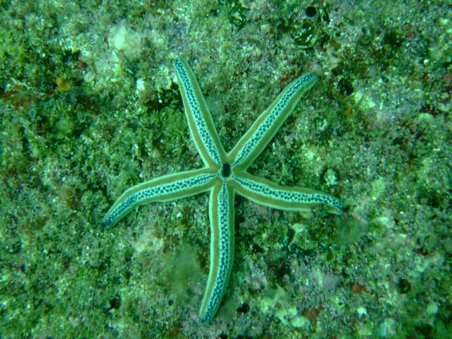 dscf0745.jpg