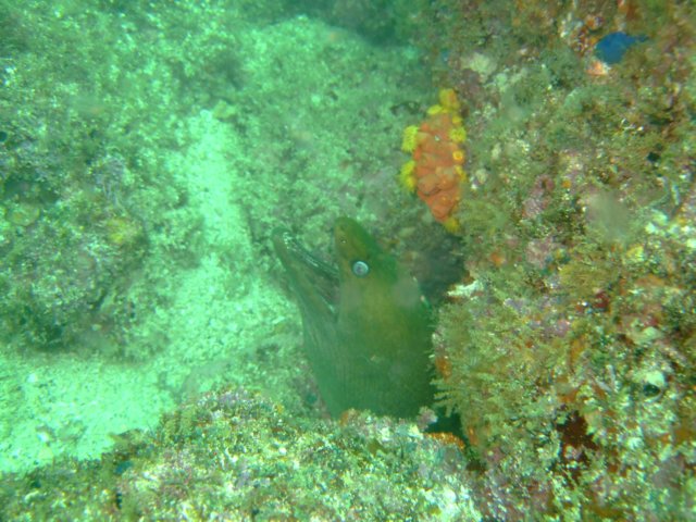 dscf0757.jpg