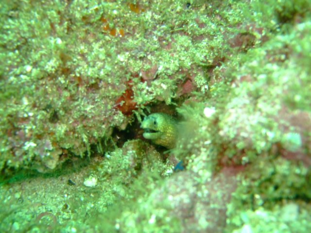 dscf0764.jpg