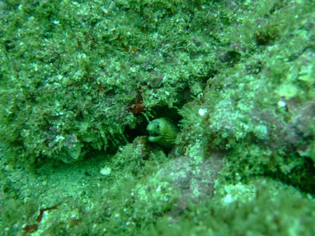 dscf0765.jpg