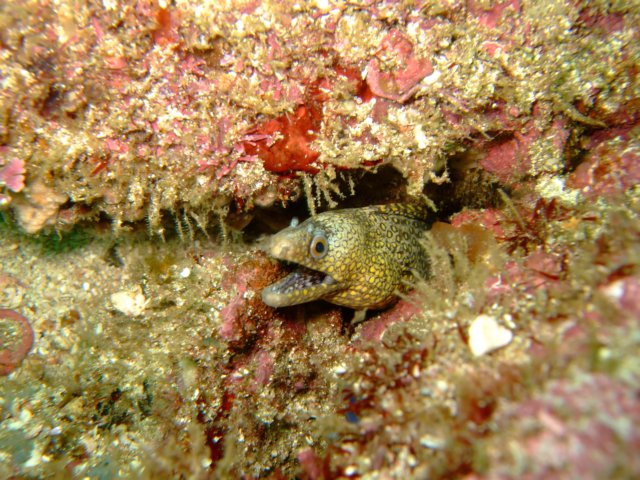 dscf0766.jpg