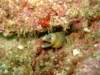 dscf0766_small.jpg