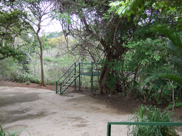 dscf0769.jpg
