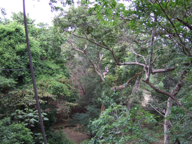 dscf0783.jpg