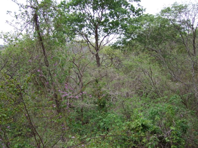 dscf0785.jpg