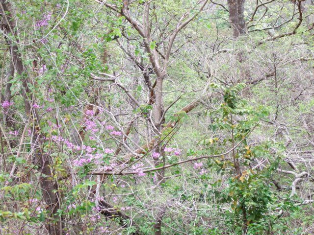 dscf0786.jpg