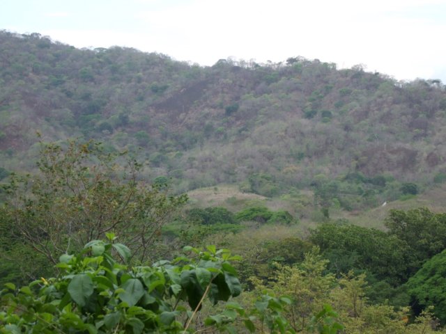 dscf0788.jpg