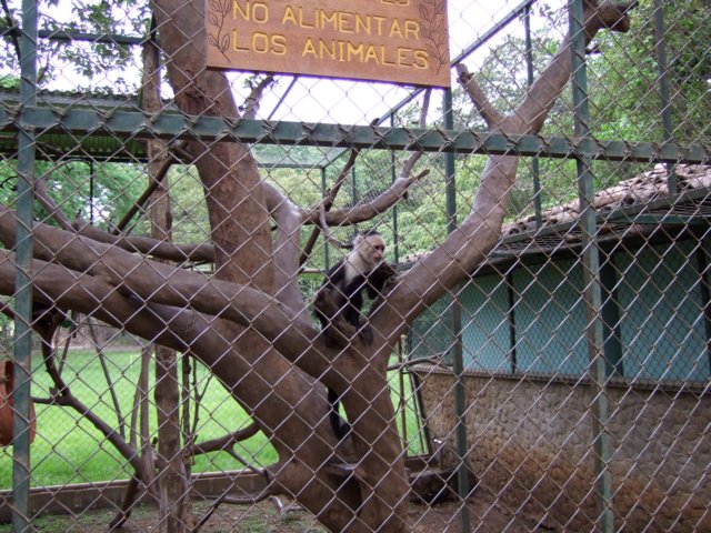 dscf0793.jpg
