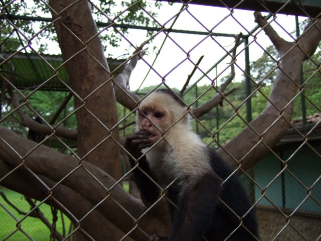 dscf0795.jpg