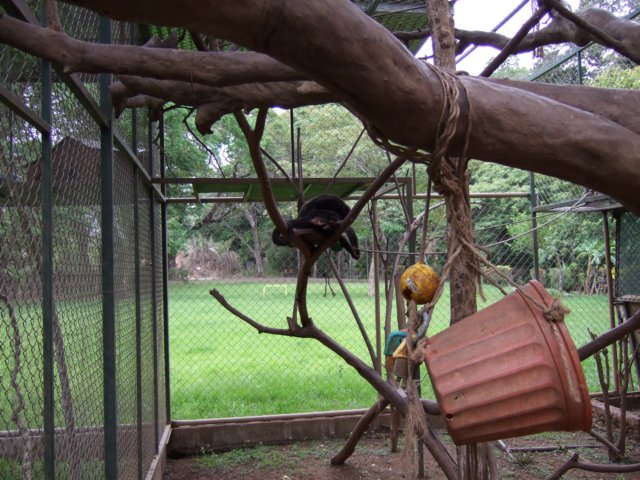 dscf0797.jpg
