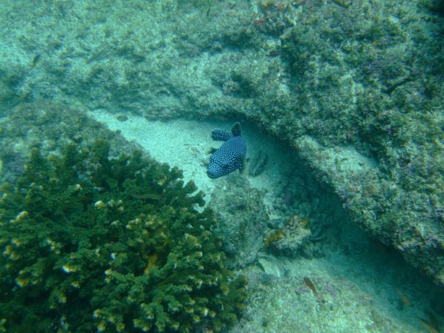 dscf0815.jpg