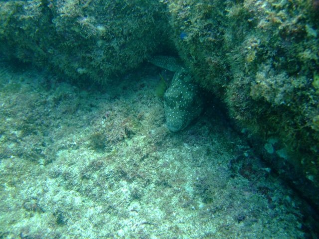 dscf0818.jpg