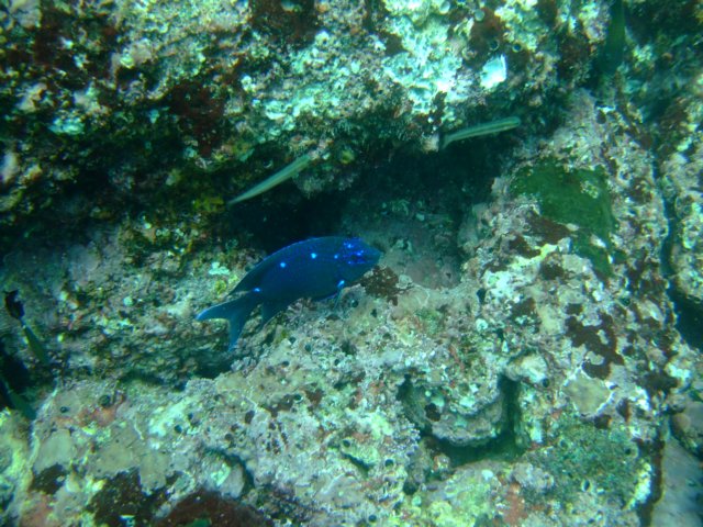 dscf0891.jpg