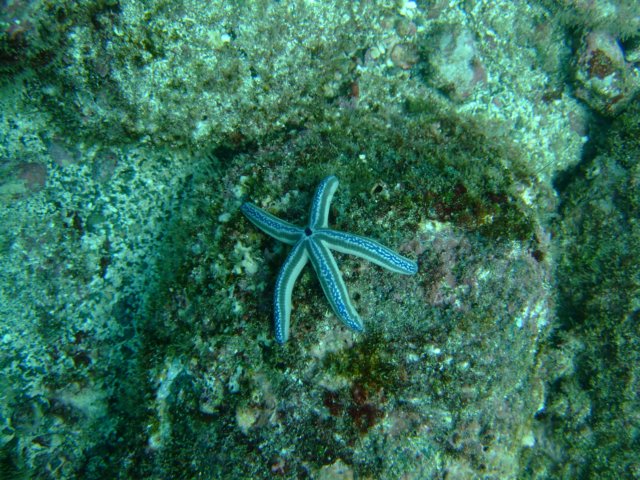 dscf0893.jpg