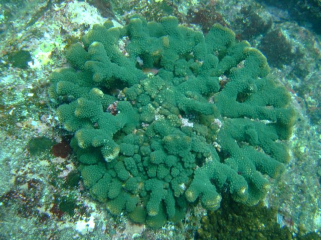 dscf0895.jpg