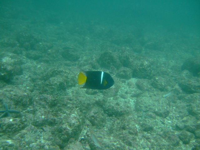 dscf0898.jpg