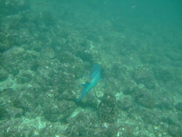dscf0901.jpg
