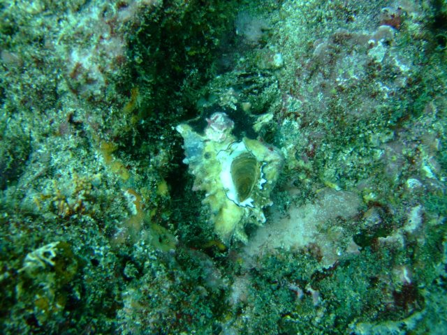 dscf0913.jpg