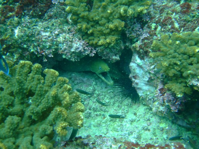 dscf0920.jpg