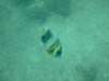 dscf0982_small.jpg