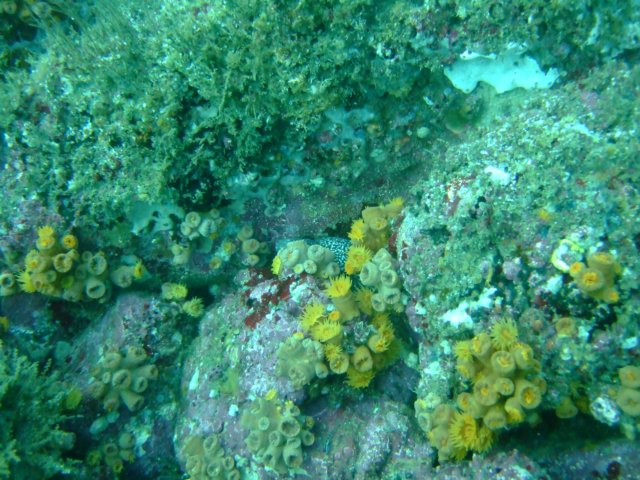 dscf0983.jpg