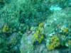 dscf0983_small.jpg