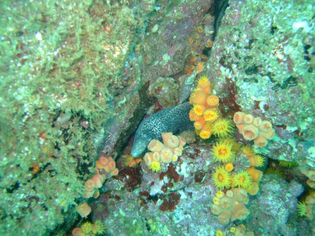 dscf0984.jpg