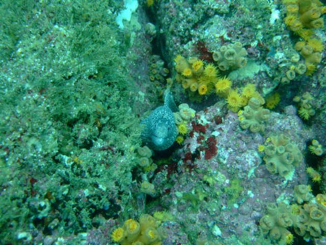 dscf0985.jpg