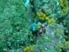 dscf0985_small.jpg