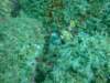 dscf0986_small.jpg
