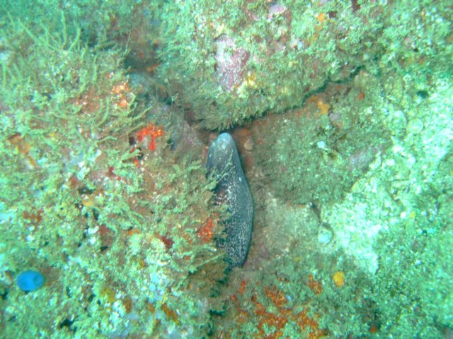 dscf0988.jpg