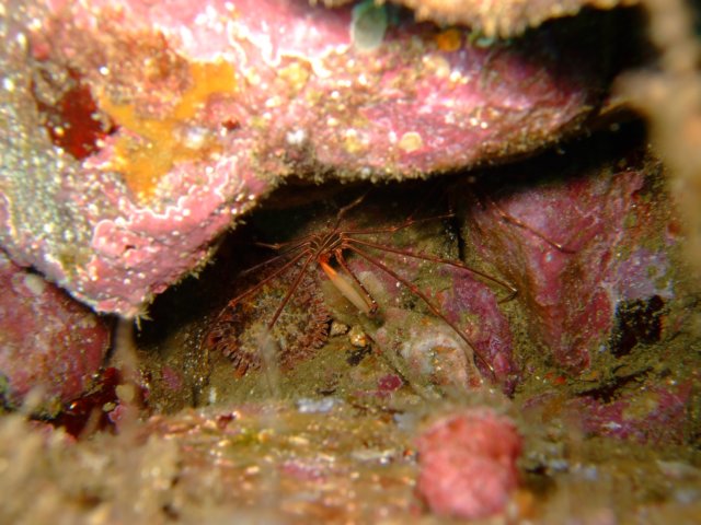 dscf0990.jpg