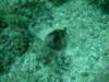 dscf0992_small.jpg